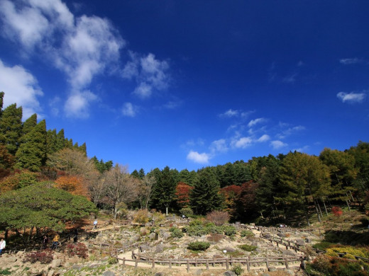 37920 (a): :1024x768